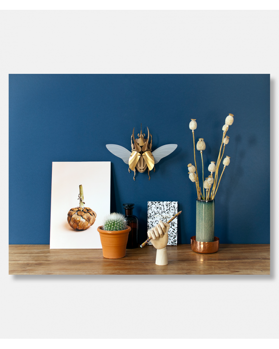 Model Atlas Beetle DIY Kit