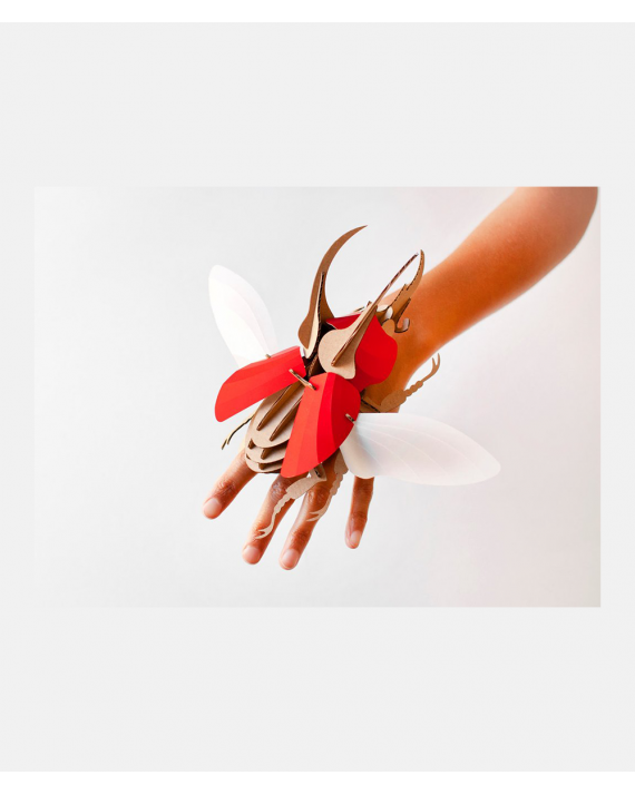 Model Stag Beetle Red DIY Kit