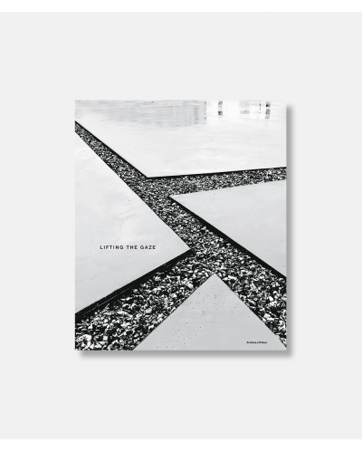 Lifting the Gaze - Juul Frost Architects