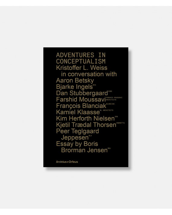 Adventures in Conceptualism