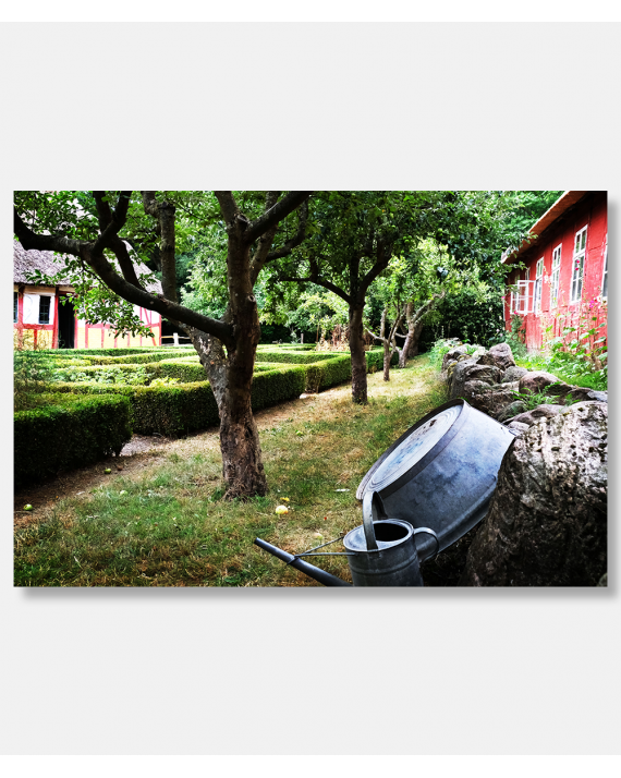 Smuk køkkenhave - inspiration og haveplanter