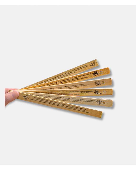 Wood Stock Primero - Timbers Folding Ruler