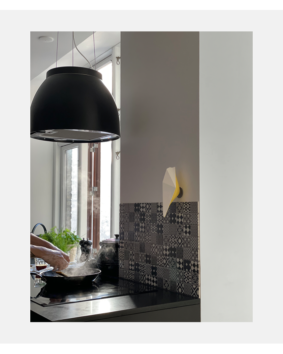 Airbird Connect - Silver