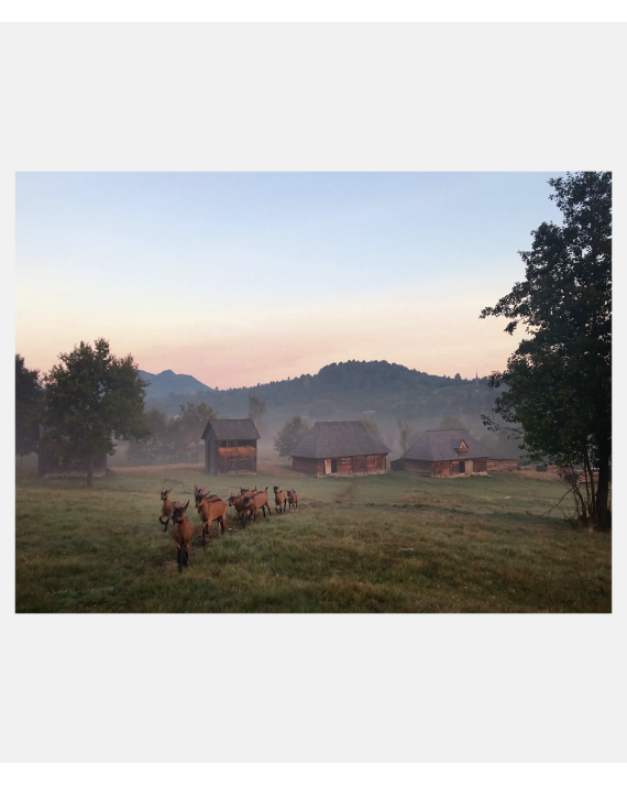 Slow Escapes - Rural Retreats for Conscious Travelers