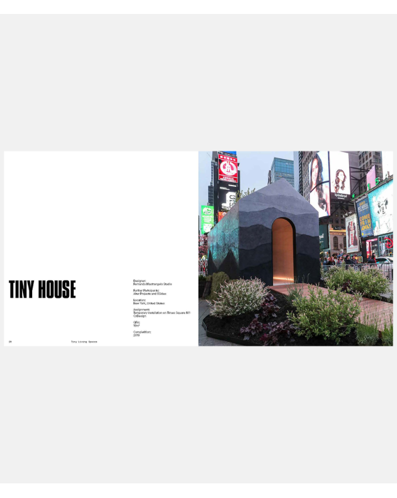 Tiny Living Spaces - Innovative Design Solutions