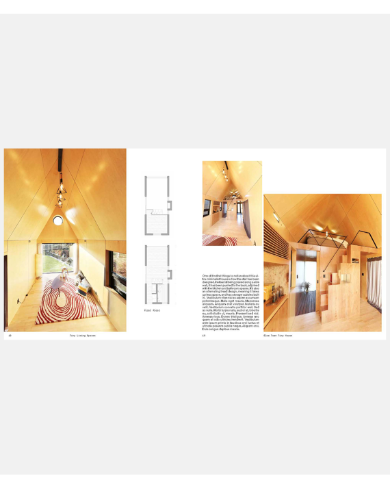 Tiny Living Spaces - Innovative Design Solutions