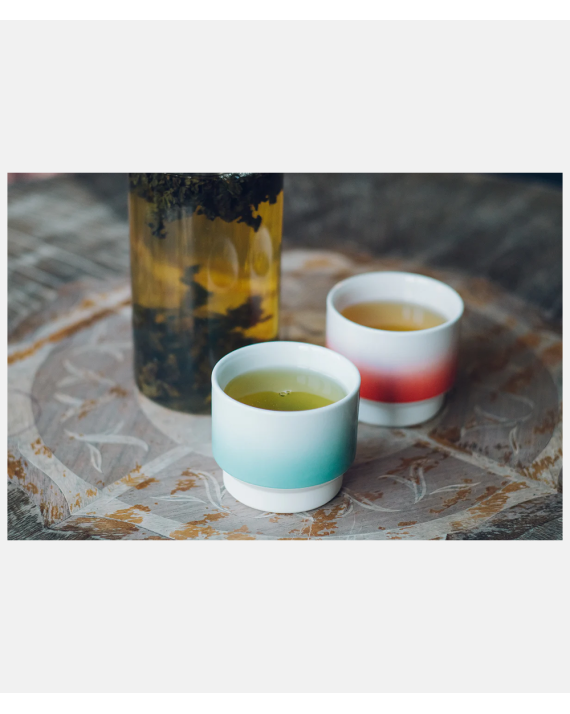 Hasami Yaki Cup Mint - Small
