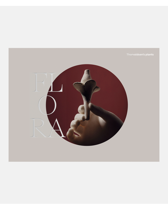 FLORA Thorvaldsen's Plants