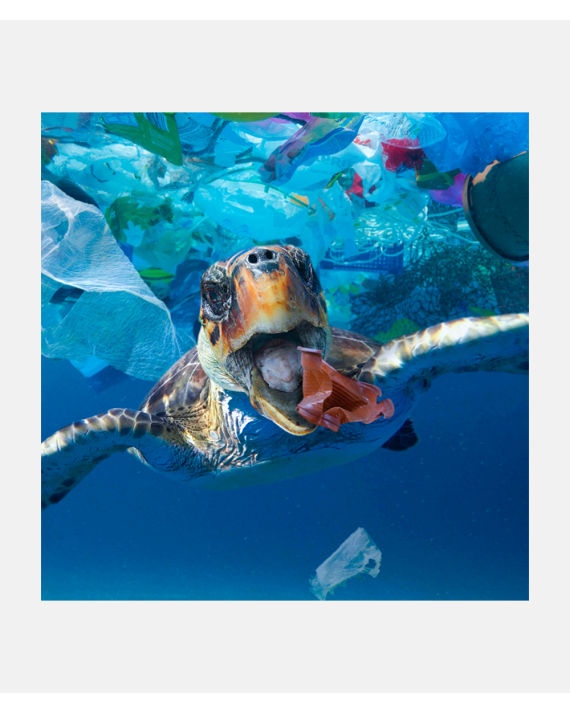 SUB Ocean Plastic Ocean Blue watch