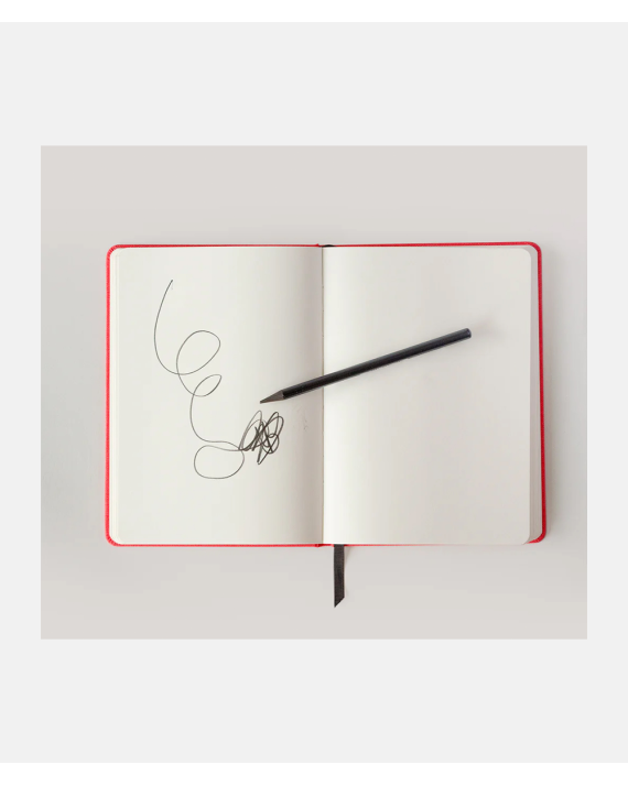 Hoxton Mini Press Notebook - A NoteBook For Bad Ideas - Red