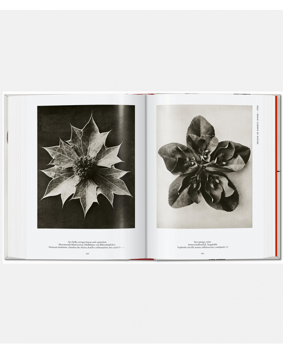 Karl Blossfeldt - The Complete Published Works