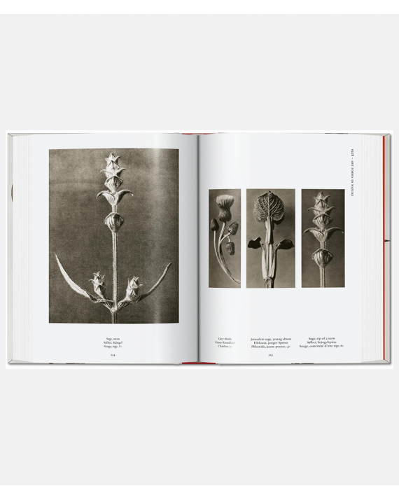 Karl Blossfeldt - The Complete Published Works