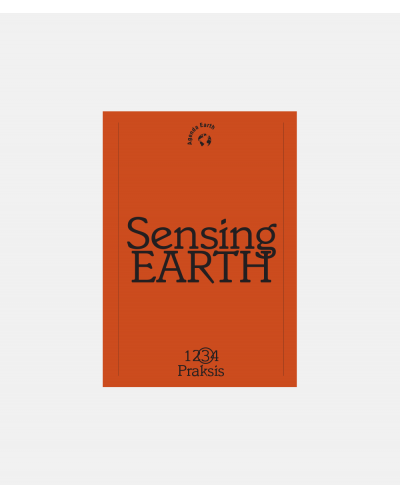 Sensing Earth 3 - Praksis
